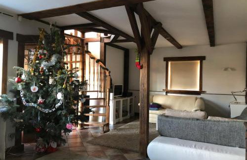 Leśna Willa - Foto 7