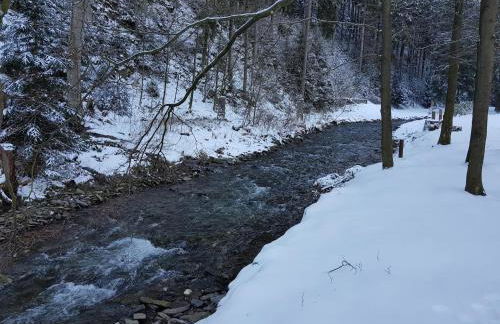 Alpine Escape in Wildemann - Foto 74