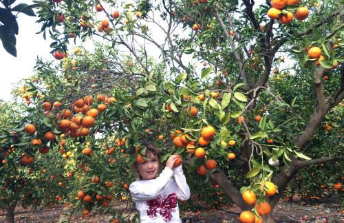 Villa HAYAHAY with PRIVATE POOL & Amazing view - Foto 33