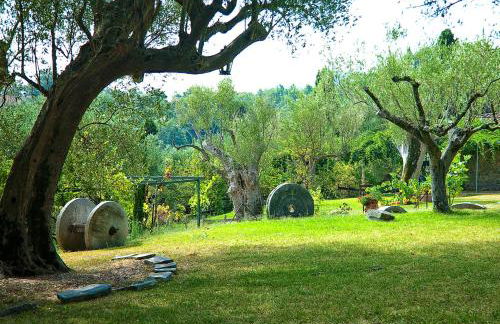 Pie' d'Ulivo - Foto 105