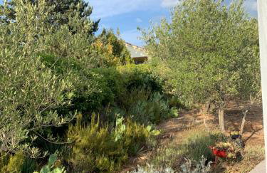 Apartman Ruža - Photo 42