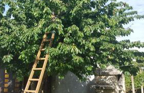 Apartments Lena - Photo 34