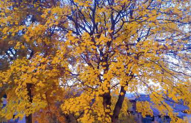 Casa "Berto e Costantina" - Photo 18
