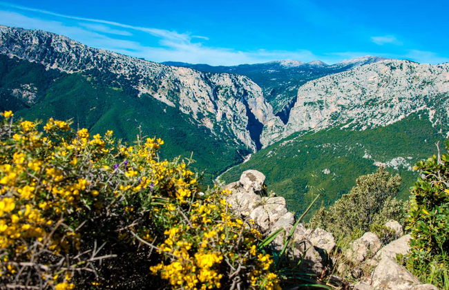 Trekking nel golfo di Orosei - Foto 8