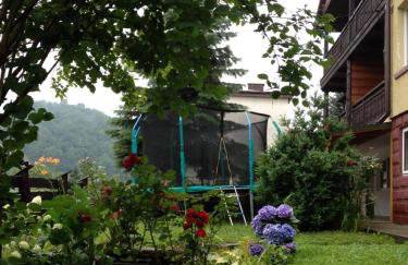 Willa Rytro dom wakacyjny w górach do wynajęcia na wyłączność dla 15 osób - Foto 56