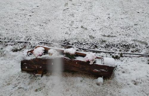 Kastor Chalets - Foto 33