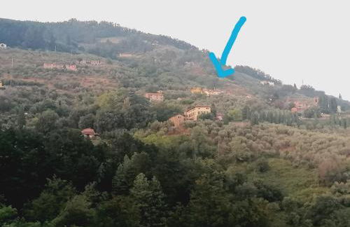 Casa Teresina - Photo 51