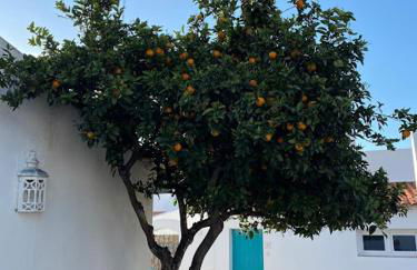 Cozy summer house - Foto 36