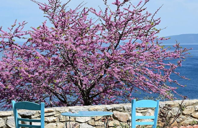 Athena Charming apt with stunning view - Foto 28