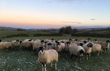 Weardale Cottage - Photo 39