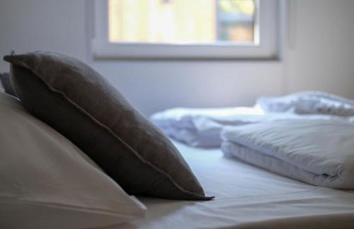 Iguana - Das Tiny Haus am Reptilienzoo Reptilium - Foto 47