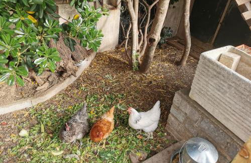 Maison familiale avec jardin - Photo 28