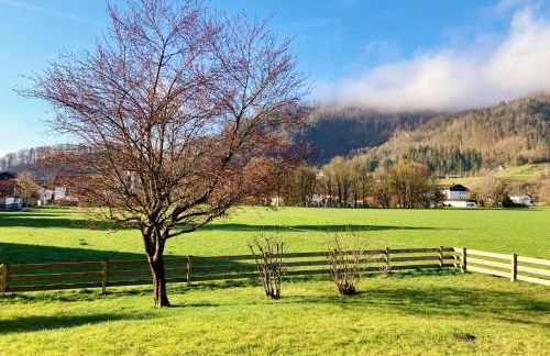 Open Garden Mountain Lodge - Foto 15