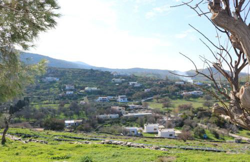 Avgoustis' stone house - Foto 24