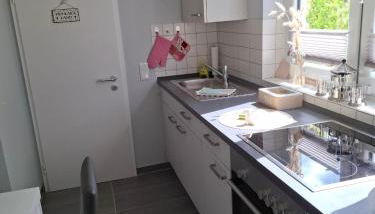 De Hecksche Stuuv - Foto 4, stove