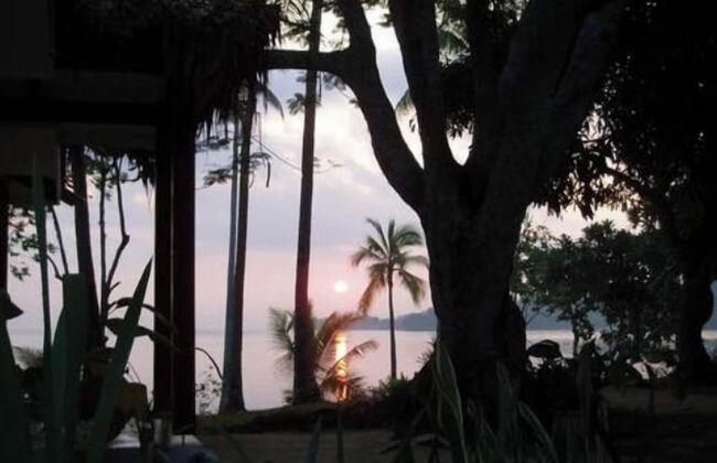 Troppo Mystique - Photo 66