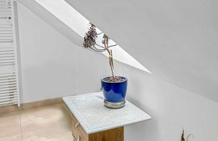 Nature et Bord d'Etang à Jars - Foto 27