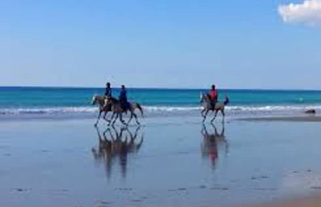 107125 - House in Zahara - Photo 17