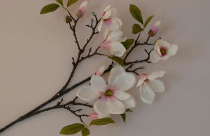 Ferienwohnung Muelenz - Foto 22