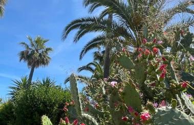 Casa Atlantida Golfemar - Foto 26