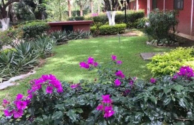 Bungalows La Huerta - Foto 40