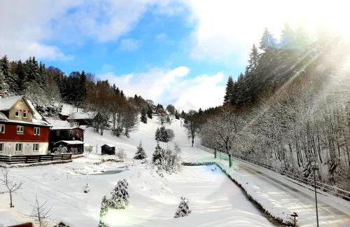 Gemütliches Apartment am Gottesberg - Foto 3