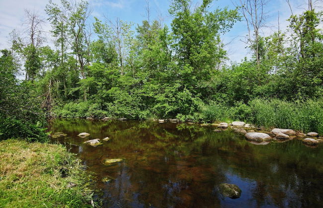 17463 County Rd 18 - Photo 36