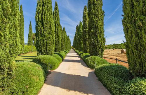 Il casale degli olivi - Foto 2