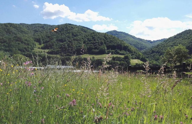 Beautiful Large Villa in Tylmanowa - Photo 21