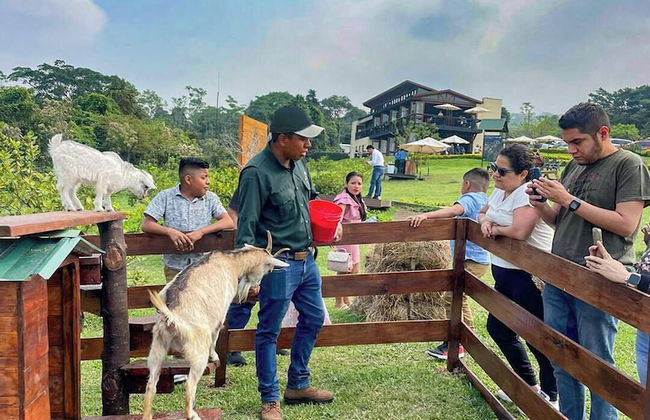 Finca San Cayetano - Photo 65