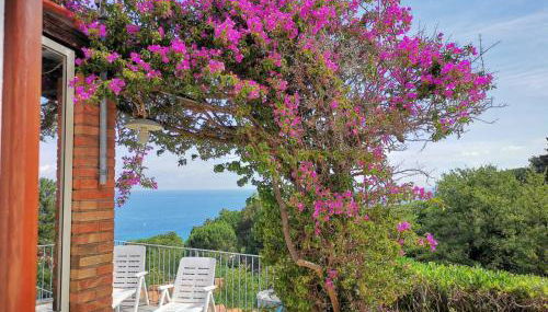 casa panoramica bouganville - Foto 5