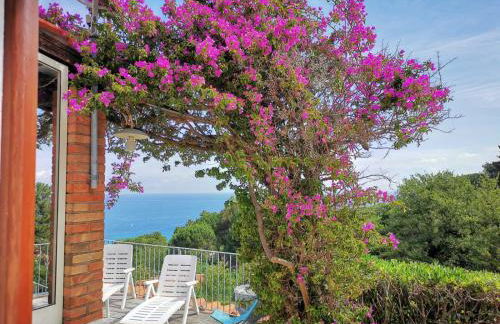 casa panoramica bouganville - Foto 5