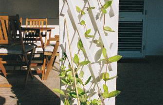 Casa das Termas - Cabeço de Vide - Foto 23