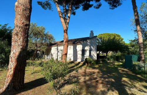 Villa Sole e Mare - Foto 7