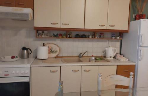 Παραθαλάσσιο διαμέρισμα με κήπο στον Αγιόκαμπο - Foto 10