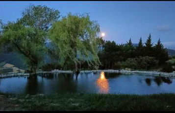 Agriturismo cergallina - Photo 13