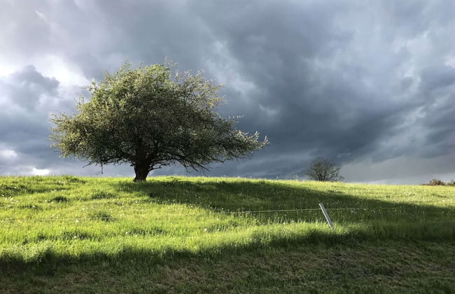 Holiday Home with Garden & Terrace near Rennsteig in Thuringian Forest - Foto 34