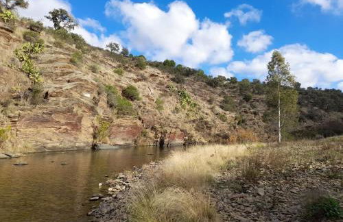 Blue&YellowHouse - Foto 16