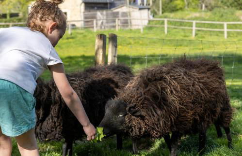 Dihan Evasion - Foto 47