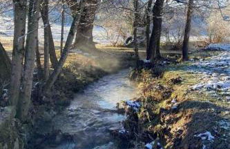 Farmhouse with game room, fire pit and creek - Foto 52