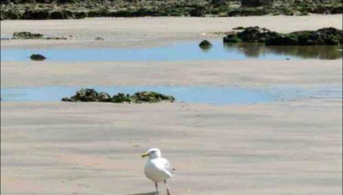 St Valery en Caux, apt vue mer et falaise: le bleu de lô - Foto 3