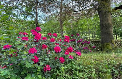 Apartment im Wald - mit Schwimmbad! - Foto 39