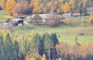 Landhof Steinhütte - Foto 17