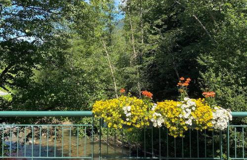 Chalet Le Saint Bernard - Sauna - Alp'in C - Châtel - Foto 39