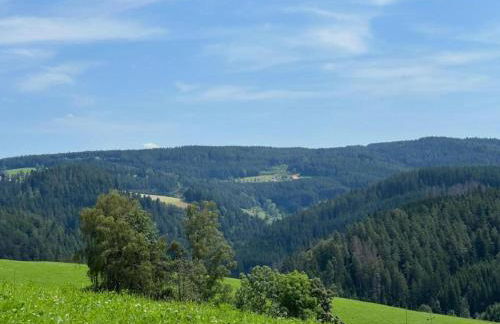 Apartment in Gutenbach With Nearby Forest - Foto 73