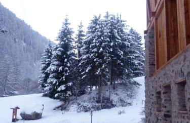 Maso Fior di Bosco - Val di Rabbi - Esercizio Rurale - Foto 55