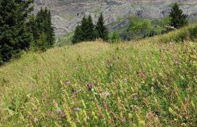 Gîte Les Aravis - Foto 24
