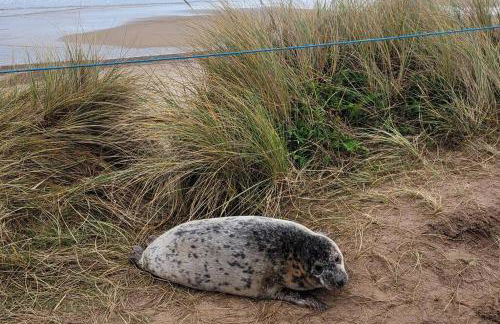 Entire 2 bed coach house in peaceful Norfolk village - Foto 44