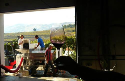Quinta da Padrela Winery House - Foto 45