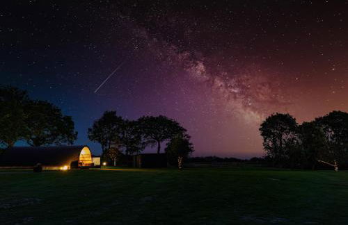 The Piglet Pod - Photo 15